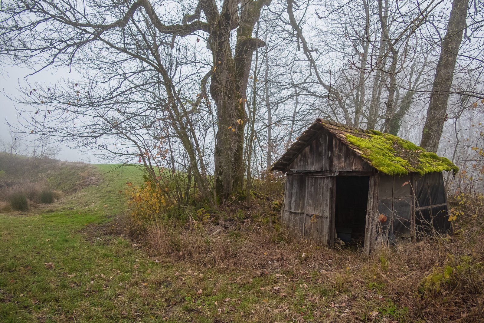 Shed 2 pexels-thomas-p-14660992